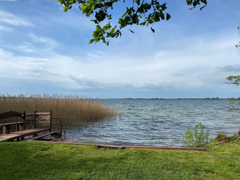 Prenzlau, Unteruckersee am Kap, Foto: Alena Lampe