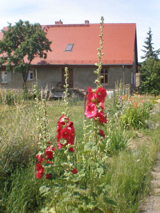 Schwalbenhof, Foto: Andrea Glös-Hiller