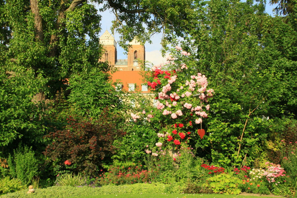 Garten Familie Stritzel, Prenzlau, Foto: Ute Stritzel