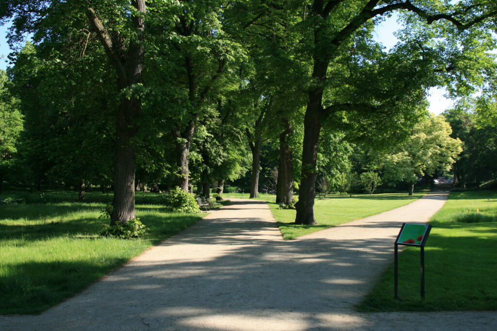 Stadtpark, Foto: Antje Lang, Lizenz: Antje Lang