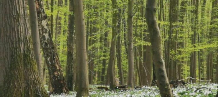 Essbare Landschaften, Foto: Pratensis